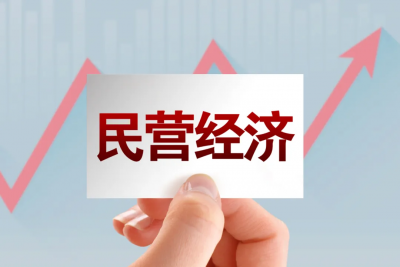 《中共中央、國務院關于促進民營經濟發展壯大的意見》