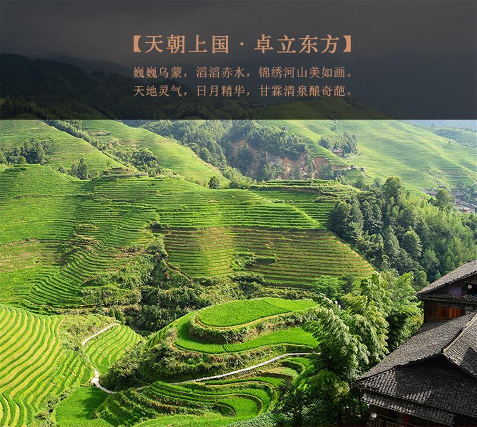 文景之治（珍藏版）_06.jpg
